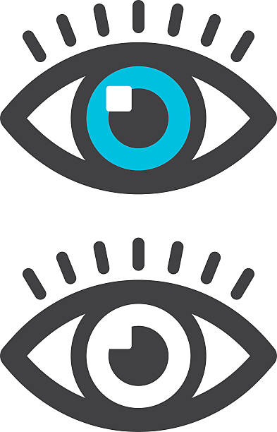 Eye icon eye vector icon. Files included: Vector EPS 10, JPEG 3000 x 4000 px, transparent PNG (black and color), AI 17 human eye stock illustrations