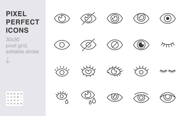Eye line icon set. Open, closed eyes, visible invisible concept, hidden password, view minimal vector illustrations. Simple outline signs for web application ui. 30x30 Pixel Perfect. Editable Strokes Eye line icon set. Open, closed eyes, visible invisible concept, hidden password, view minimal vector illustrations. Simple outline signs for web application ui. 30x30 Pixel Perfect. Editable Strokes. human eye stock illustrations