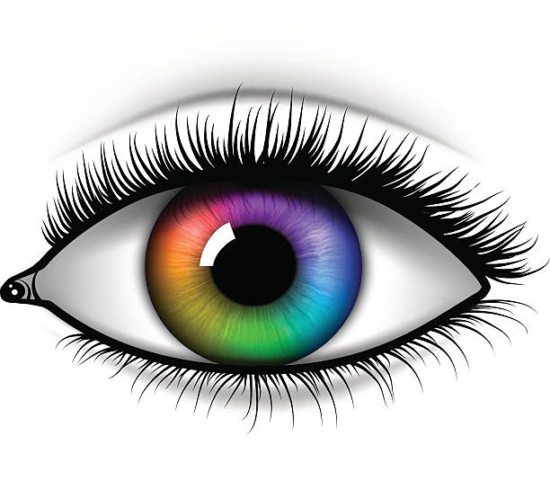 Eye Multicolored Eye. human eye stock illustrations