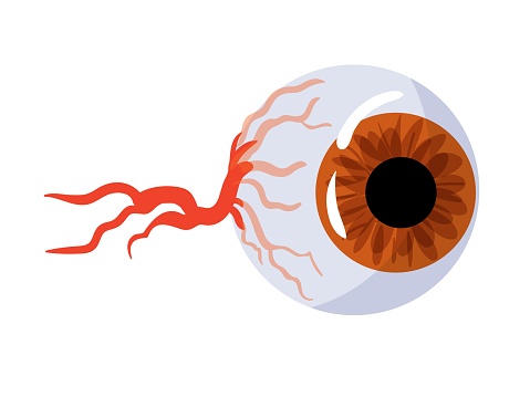 Eyeball with blood vessels and nerves for Halloween celebration. Colored caramel. Vector illustration is isolated on a white aphid.