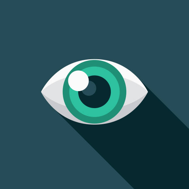 Eyeballing Graphic Design Icon Icon A flat design/thin line icon on a colored background. Color swatches are global so it’s easy to edit and change the colors. File is built in CMYK for optimal printing and the background is on a separate layer. eye icons stock illustrations