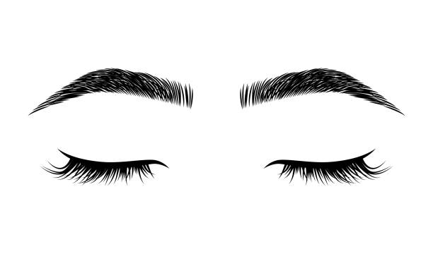 Eyelashes and eyebrows vector logo for beauty studio Eyelashes and eyebrows vector logo for beauty studio eye drawings stock illustrations