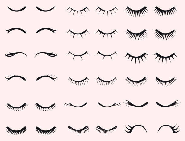 Eyelashes set. Woman beauty Closed eyes. False lashes collection. vector vector art illustration