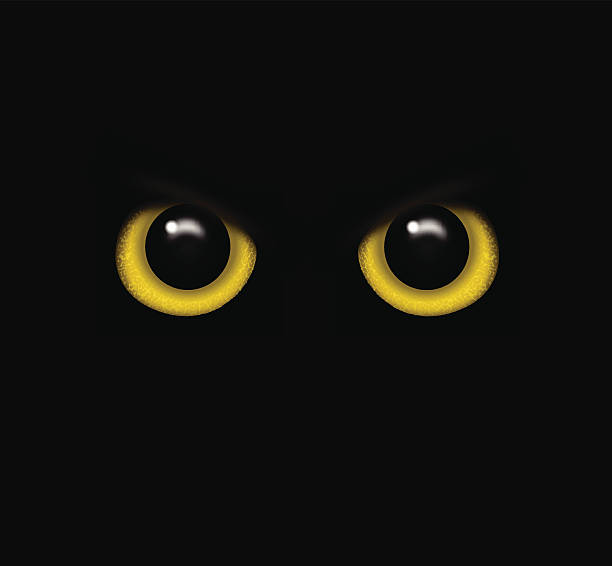 глаза с дикими животными в темноте вектор - глаз животного stock illustrations