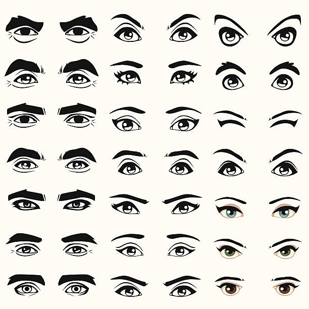 eyes female and male vector eyes and eyebrows silhouette, eye silhouettes stock illustrations