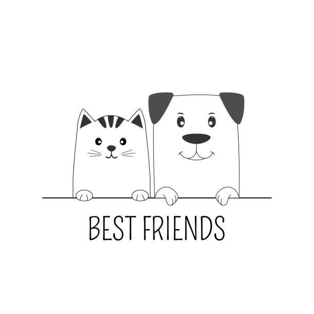 Face cat and dog best friends white background. Face cat and dog best friends white background. Contour silhouette. Funny baby puppy and kitty. dog drawings stock illustrations