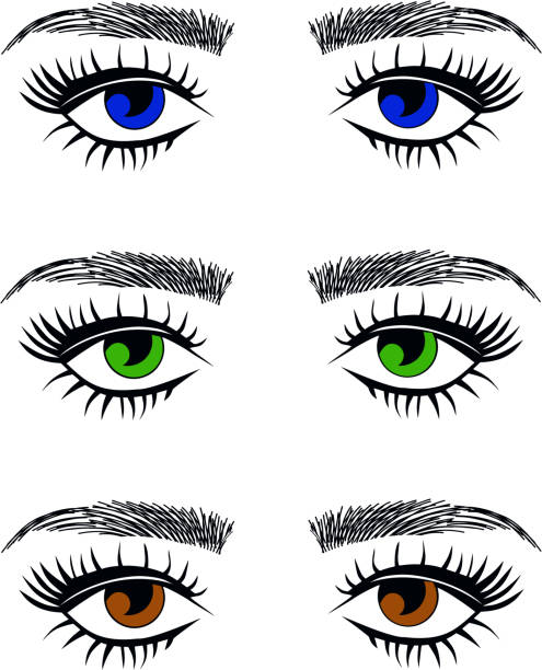 face, nose, blue, hazel, green eyes vector art illustration