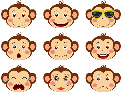 Faces of monkeys with feature a different expressions