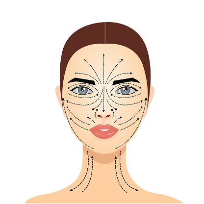 Facial massage lines. Woman face isolated on a white background. Model for cosmetic facial. Facial skin care.