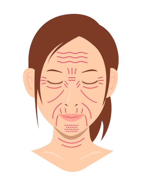 Facial wrinkles ( female face ) vector illustration / no text Facial wrinkles ( female face ) vector illustration / no text cartoon of a wrinkled old lady stock illustrations