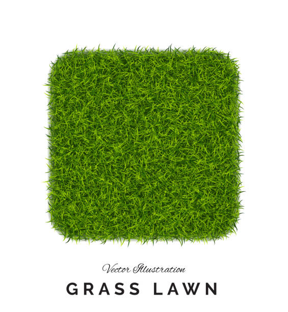 bildbanksillustrationer, clip art samt tecknat material och ikoner med fake grönt gräs eller astroturf fyrkantig bakgrund isolerad - grass