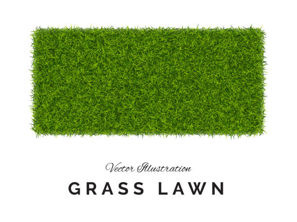 Fake Green Grass or Astroturf Square Background Isolated Fake green grass or astroturf square background. Eco home concept with 3d vector turf football soccer field illustration isolated grass backgrounds stock illustrations