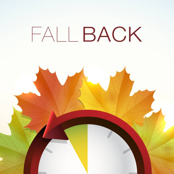Fall Back - Daylight savings Vector illustration of some colorful Fall leaves and a clock, illustrating Daylight Savings Time. daylight saving time stock illustrations