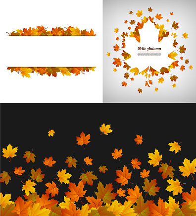 Fall background collection. Autumn leafs. Vector