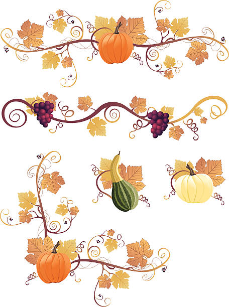 Pumpkin Vine Illustrations, Royalty-Free Vector Graphics ...