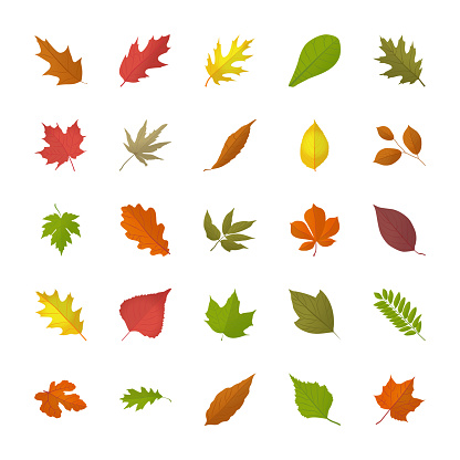 Fall Foliage Flat Icons