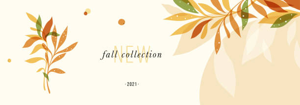 Fall Graphic Design Template Trendy abstract floral autumn horizontal template. Good for branding, web design, social media post, landing page, banner, business card, invitation, print, flyer or presentation. beauty borders stock illustrations