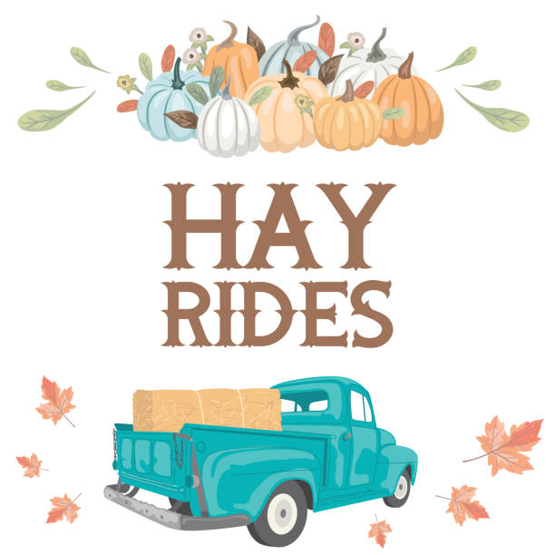 Fall Harvest Hay Rides Pickup Truck Vintage truck filled with Hay. File is created in CMYK and comes with a large high resolution jpeg. truck borders stock illustrations