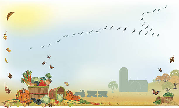 bildbanksillustrationer, clip art samt tecknat material och ikoner med fall harvest with migrating birds in sky - squash sun