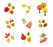 Fall icon set (eg autumn leaves)