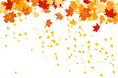 Background with maple autumn leaves. Hello autumn card.