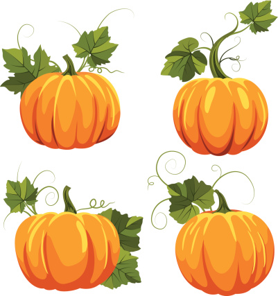 Fall Pumpkins Set