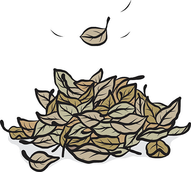 Leaf Pile White BackgroundのベクターグラフィックとEPSファイル
