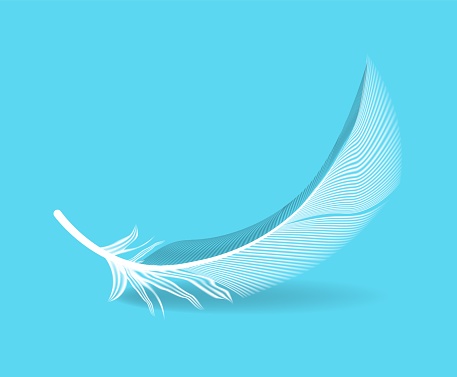 Falling bird feather isolated on blue background