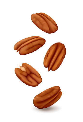Falling pecan nuts (halves) in the air