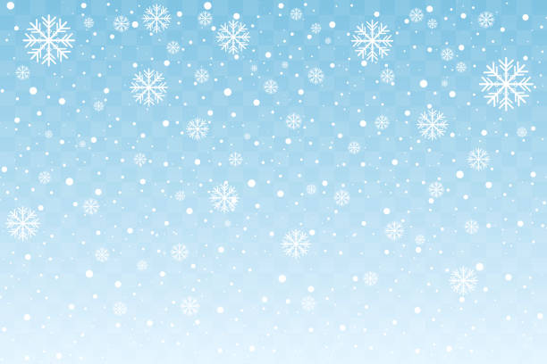 stockillustraties, clipart, cartoons en iconen met vallende sneeuw met gestileerde sneeuwvlokken geïsoleerd op blauwe transparante achtergrond. kerst en oud en nieuw decoratie. vectorillustratie - posing with ski