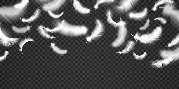 Falling white soft feathers and fluff realistic background. Flying light duck quill. Angel feather from heaven. 3d softness vector concept