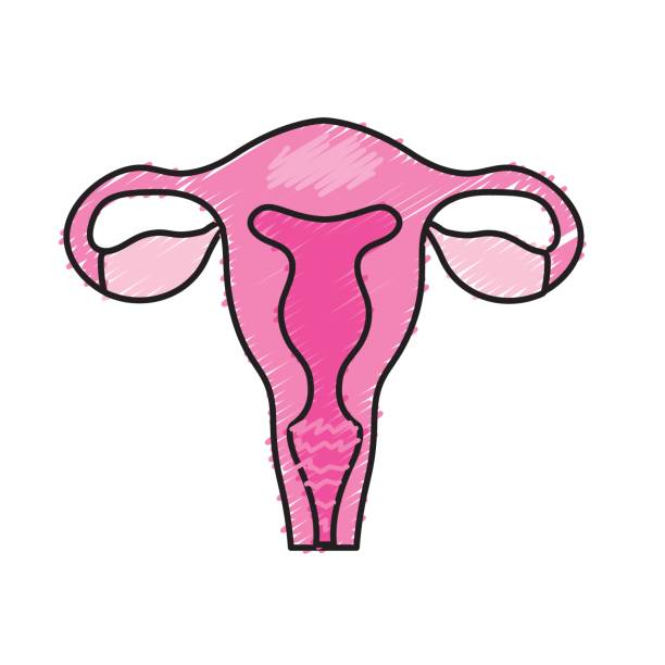 Condilom uter plat Terhes állapotban veszélyes giardia