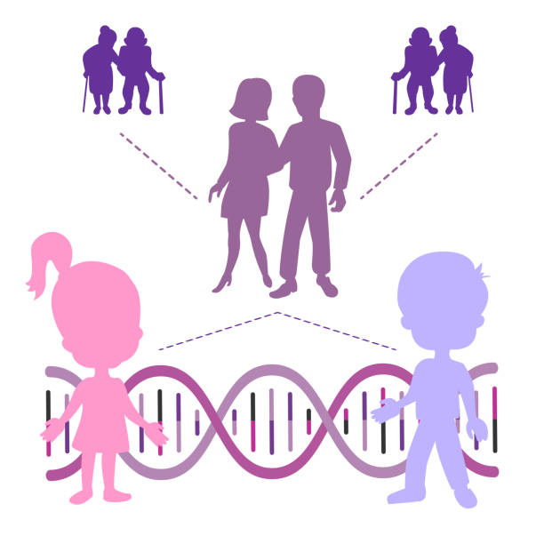 Family history. Family history. DNA. Genetics. Cancer risk. Illness awareness. Infographic.  Vector illustration. Healthcare poster or banner template. dna silhouettes stock illustrations