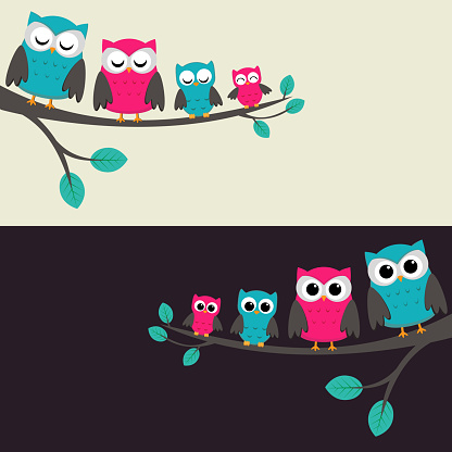 Family of owls