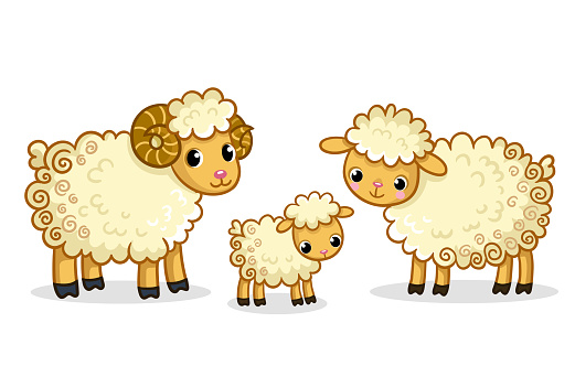A family of sheep stands. Vector illustration with a ram in cartoon style.