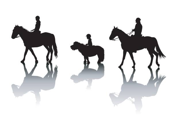 Family riding horses and pony Family silhouettes riding horses and pony pony stock illustrations