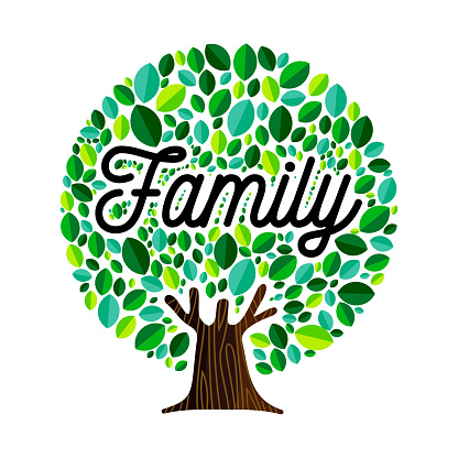 Download Family Tree Concept Illustration For Genealogy Stock ...