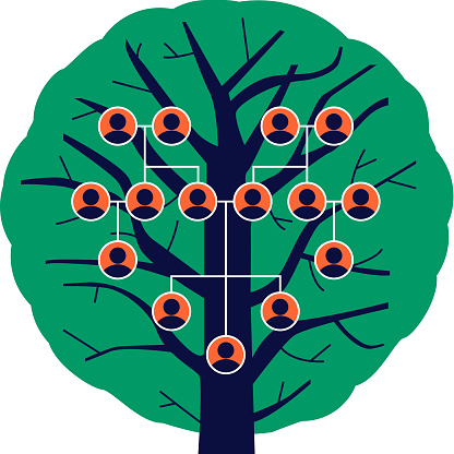 Family tree of your family.