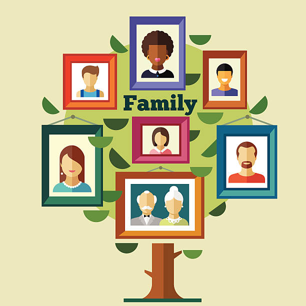 Family tree, relationships and traditions Family tree, relationships and traditions. Portraits of peoples in frames: mother, father, child, grandmother, grandfather. Vector flat illustrations family borders stock illustrations