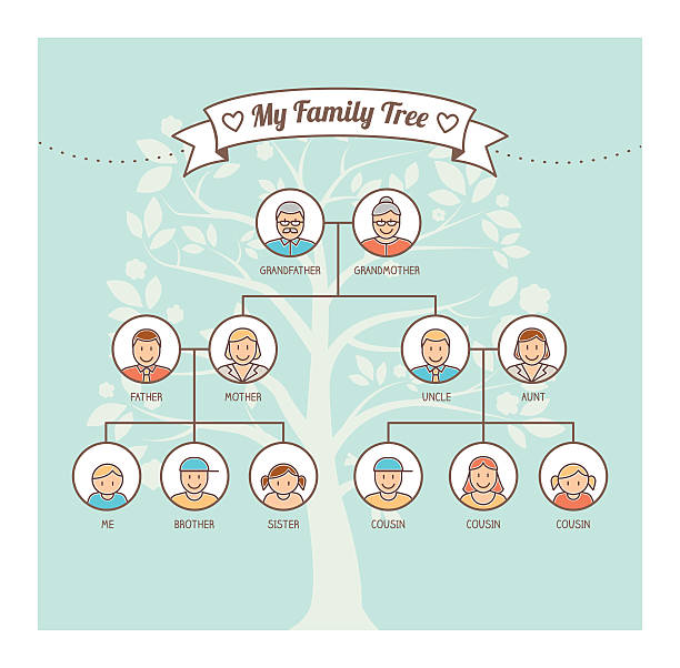 Family tree Vintage family tree with members avatars, genealogy and kinship concept family tree stock illustrations