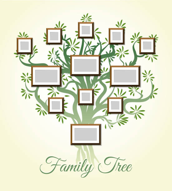 Family tree with photo frames vector illustration. Parents and children pictures, dynasty of generations Family tree with photo frames vector illustration. Parents and children pictures, dynasty of generations. Genealogical green tree with empty frames for photo dna borders stock illustrations