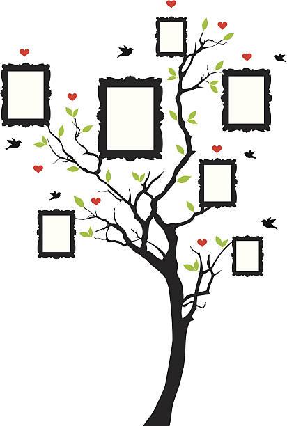 family tree with picture frames family tree with blank picture frames, vector background illustration family tree stock illustrations