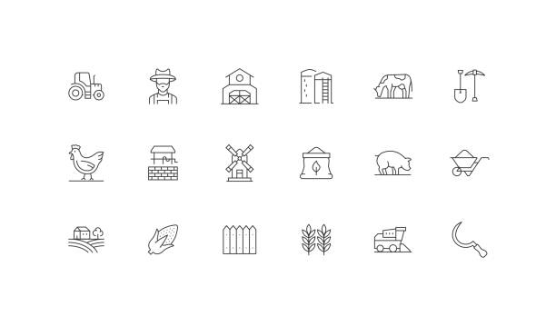 Farm, Agirculture, Farmer, Tractor, Poultry Icons. Tractor, Farmer, Barn, Solid Barn, Cattle farming, Poultry, Water Hole, Flour Mill, Seed, Pig, Field, Corn Farm, Fences, Wheat Berry, Combine Harvester, Harvest, Wheelbarrow, Digging Tools, Scarecrow, Irrigation Icons black white barn drawing stock illustrations