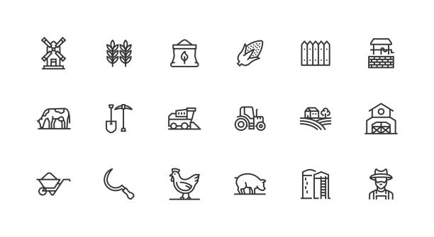 Farm, Agirculture, Farmer, Tractor, Poultry Icons. Tractor, Farmer, Barn, Solid Barn, Cattle farming, Poultry, Water Hole, Flour Mill, Seed, Pig, Field, Corn Farm, Fences, Wheat Berry, Combine Harvester, Harvest, Wheelbarrow, Digging Tools, Scarecrow, Irrigation Icons black white barn drawing stock illustrations