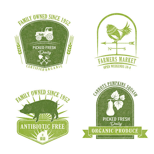 Farm And Agriculture Badge or Label Farm And Agriculture Badge or Label with banner and elements pig borders stock illustrations