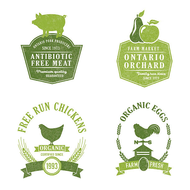 Farm And Agriculture Badge or Label Farm And Agriculture Badge or Label with banner and elements cupola stock illustrations