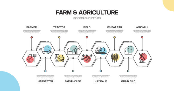 ilustrações de stock, clip art, desenhos animados e ícones de farm and agriculture related line infographic design - natural food infographics