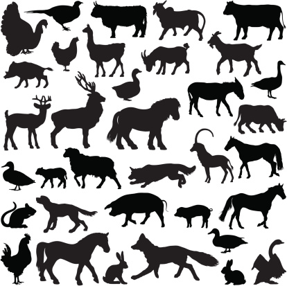 Farm animal silhouette collection