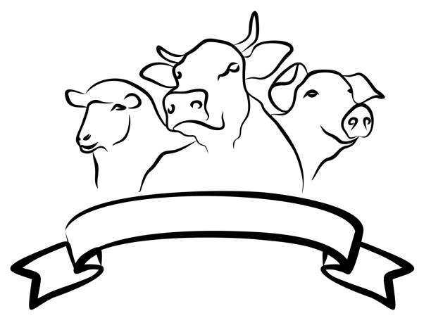 Farm animal. Cow, pig and sheep sketch. pig borders stock illustrations