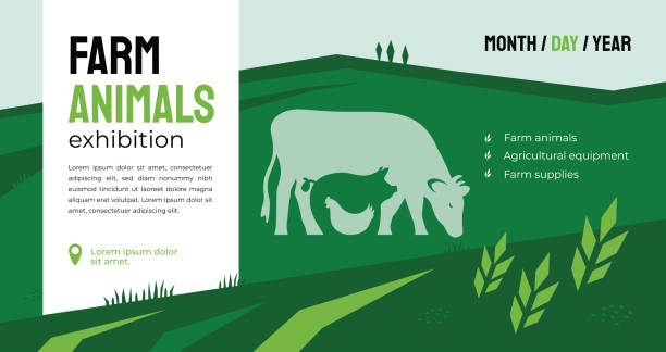 Farm animals exhibition identity template Design for agricultural exhibition. Identity for farm animals business, agricultural equipment, supplies, conference, forum. Illustration with sign of cow, pig, chicken. Template for flyer, banner, ad entrepreneur patterns stock illustrations